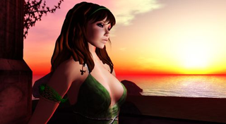 Illustration for article titled Why Would A Real Life Woman Want To Be A Second Life Slave?
